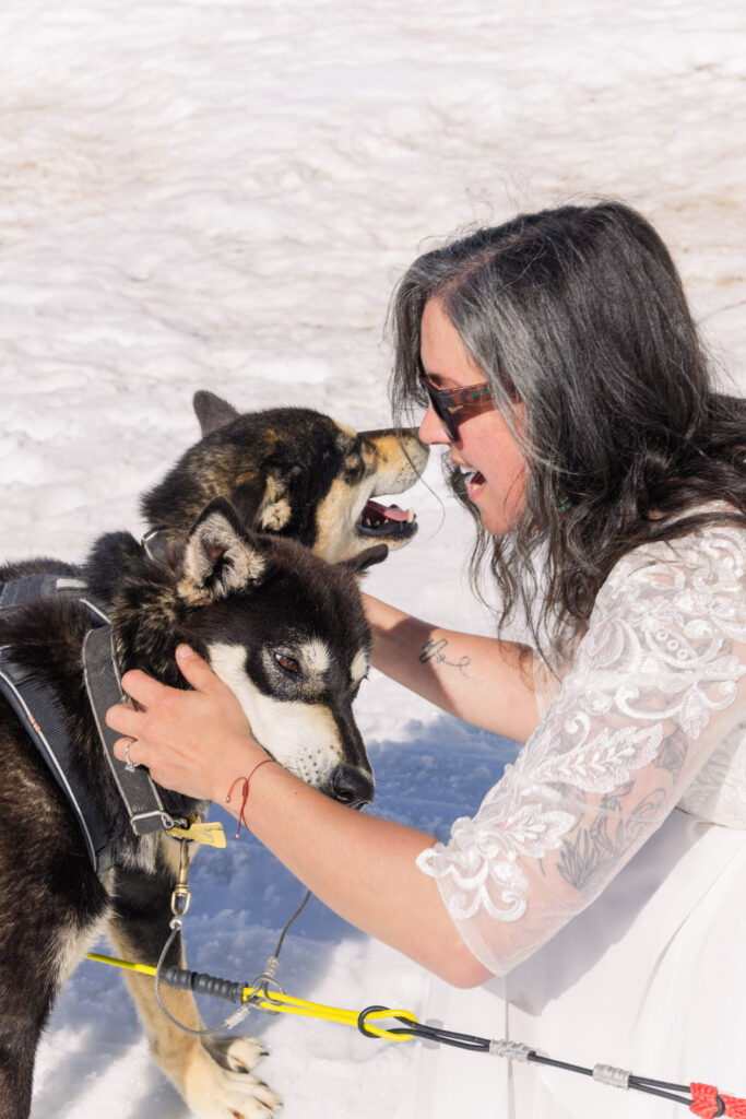 Bride playing with sled dogs at glacier dogsled camp during Alaska elopement