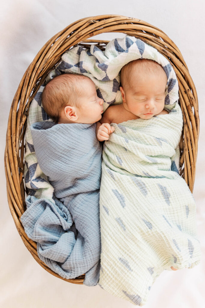 twin newborns in basket during studio newborn photoshoot