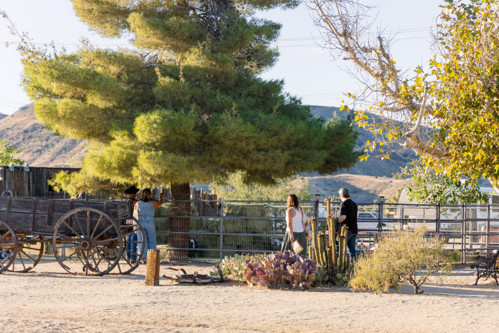 David and Lisa looking at animals at Pioneertown petting zoo.